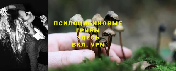 ECSTASY Абинск