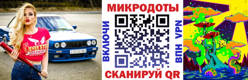 MEGA ссылки  купить наркотики цена  Петров Вал  Псилоцибиновые грибы Cubensis 